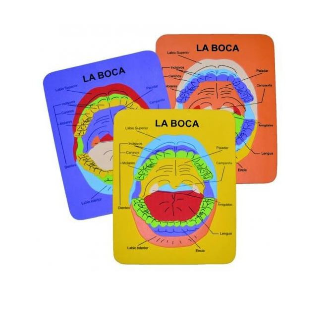 PUZZLE BOCA BADER