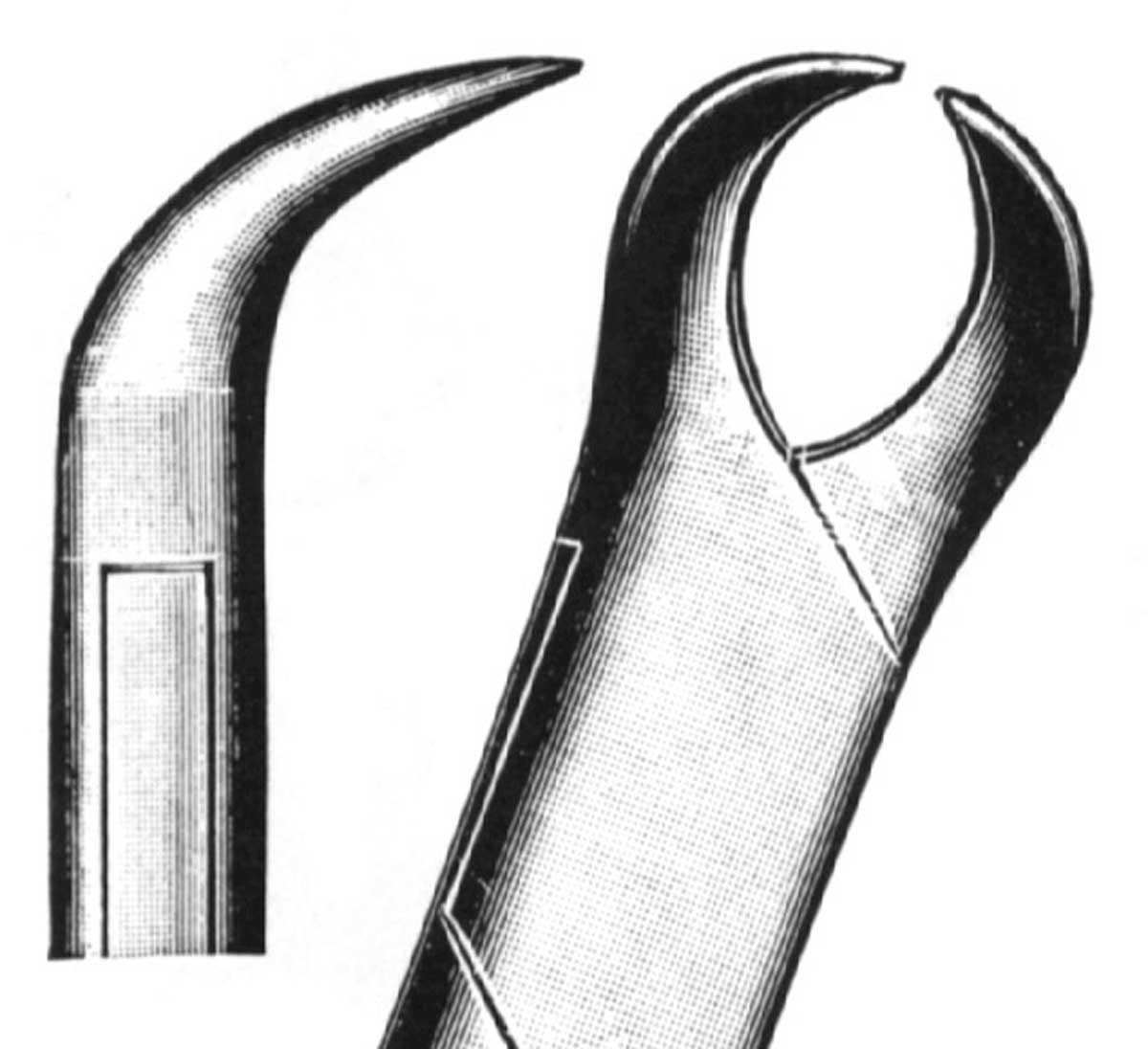 FORCEPS CUERNO DE VACA 409/16 CARL MARTIN.