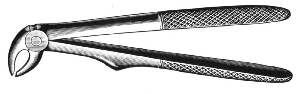 FORCEPS NINOS DIENTES INF 280/5 CARL MARTIN