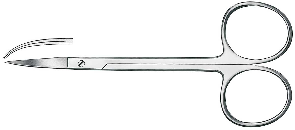 TIJERA CURVA DE ENCIA 12CM CARL MARTIN