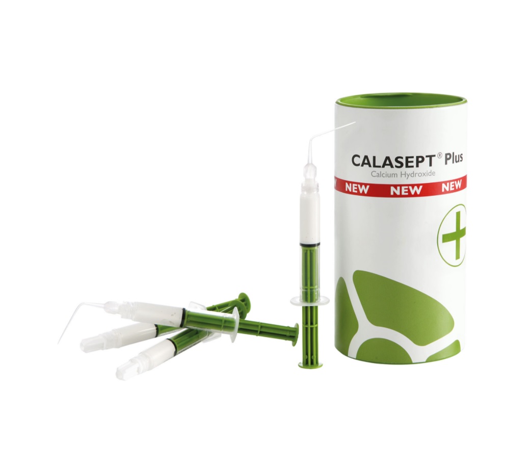 CALASEPT PLUS 4 JERINGAS 1,5ML DIRECTA