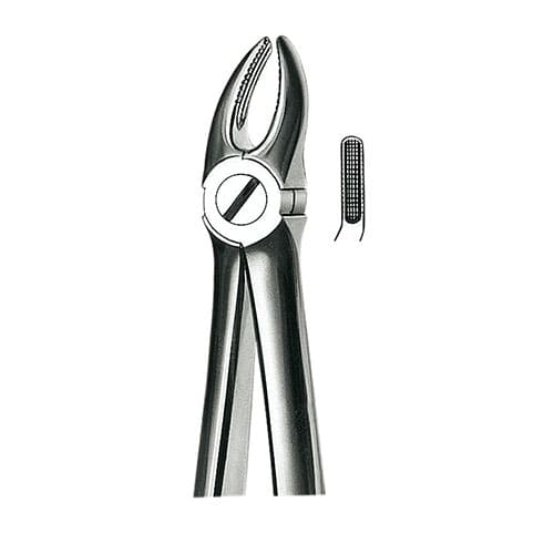 FORCEPS E7 PREMOLARES SUP - CARL MARTIN