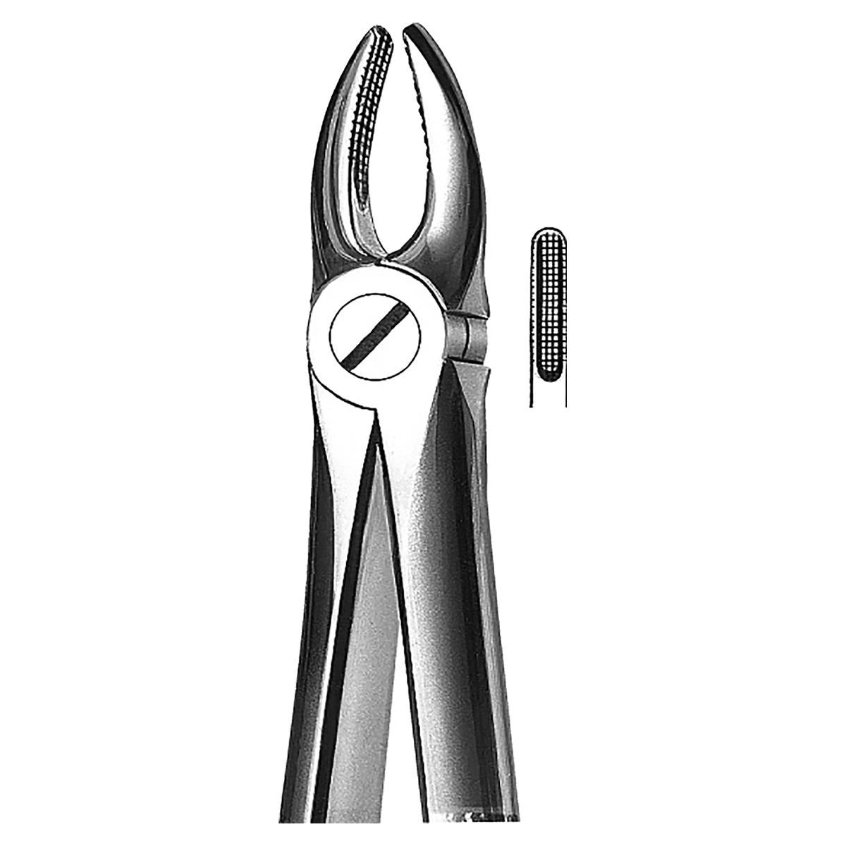 FORCEPS 01 MAXILAR SUP INCISIVOS - KDM