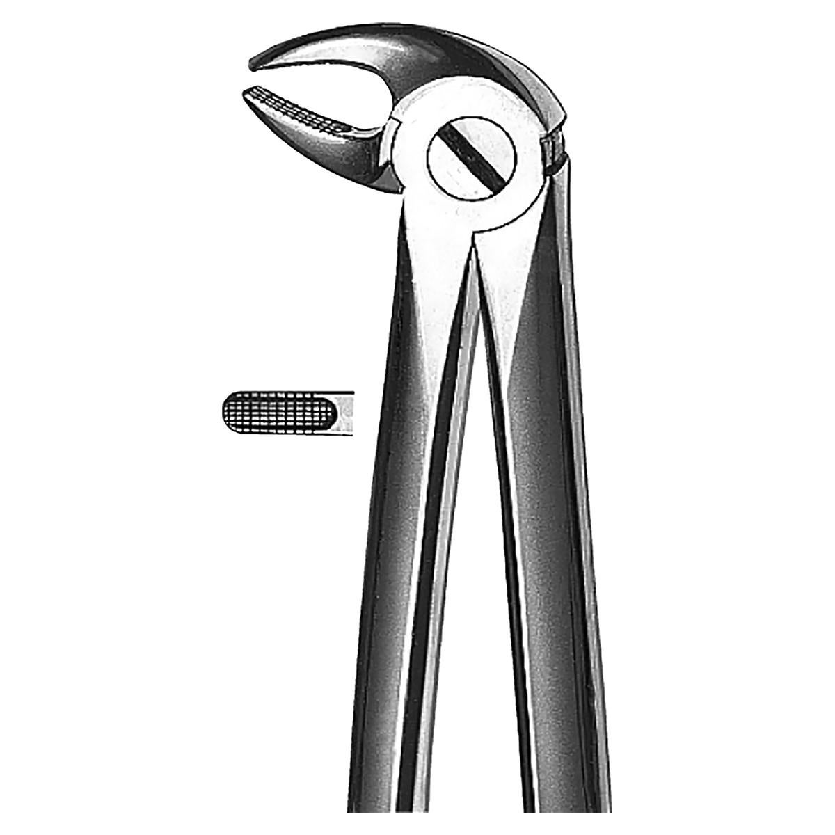 FORCEPS 13 MAXILAR INF INCISIVOS Y PREMOLARES - KDM