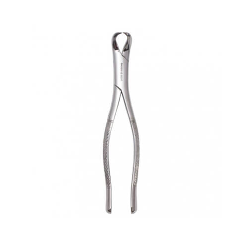 FORCEPS CUERNO DE VACA 409/16 CARL MARTIN.