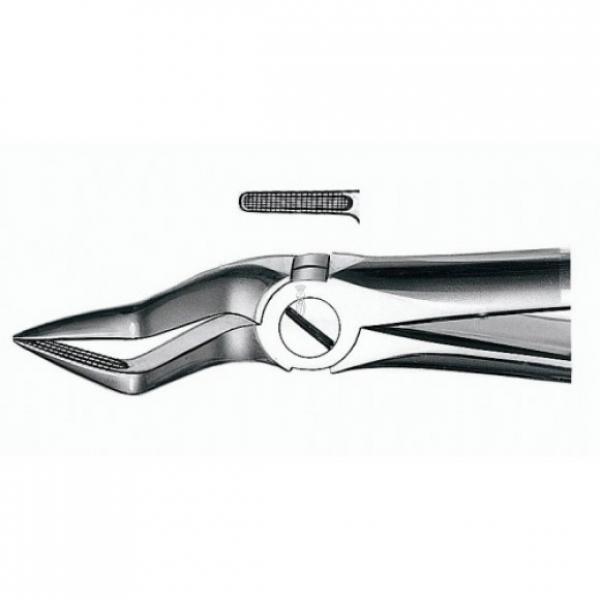 FORCEPS E51A RAICES SUP PUNTA FINA - CARL MARTIN