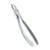 FORCEPS SUPERIOR INCISIVO Y PREMOLAR N7 GNZ