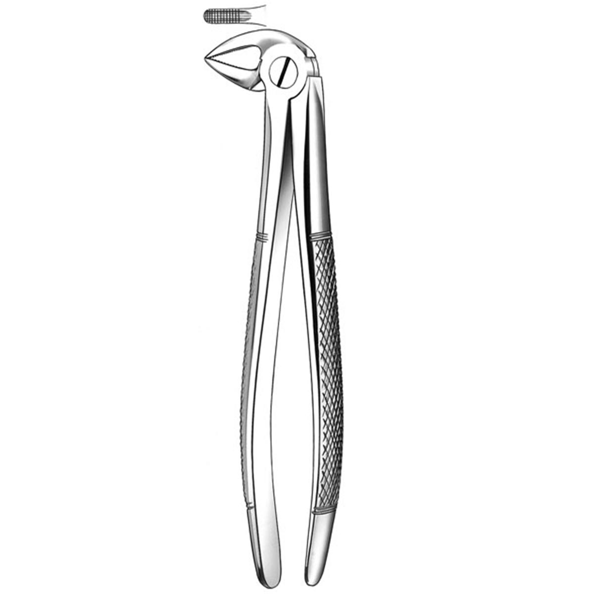 FORCEPS 51LX RAICES SUP - DERBY