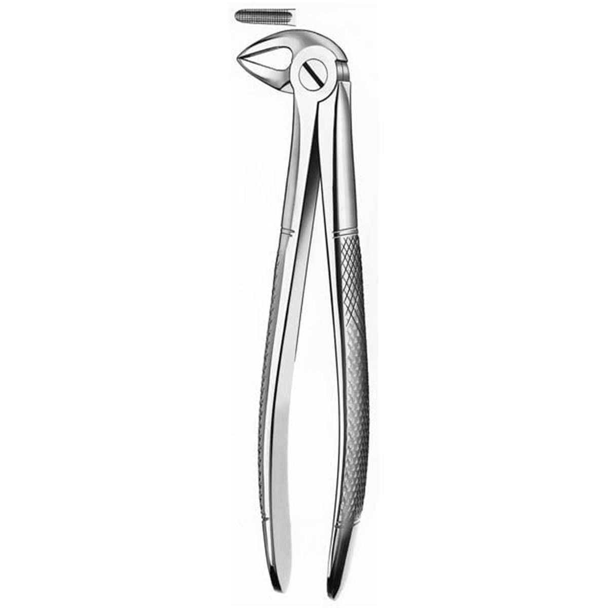 FORCEPS 67A CORDALES SUP - DERBY