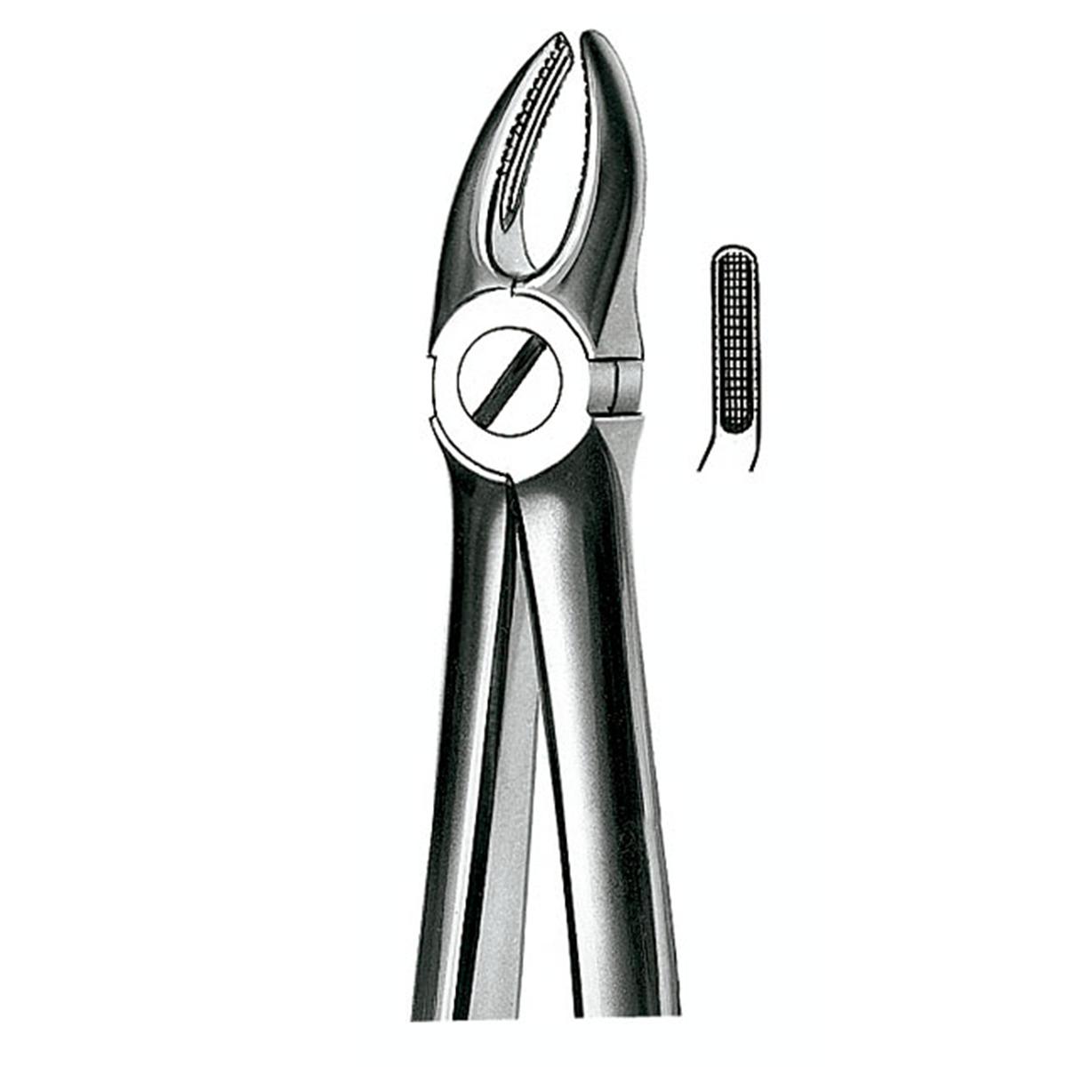 FORCEPS 7 PREMOLARES SUP - DERBY