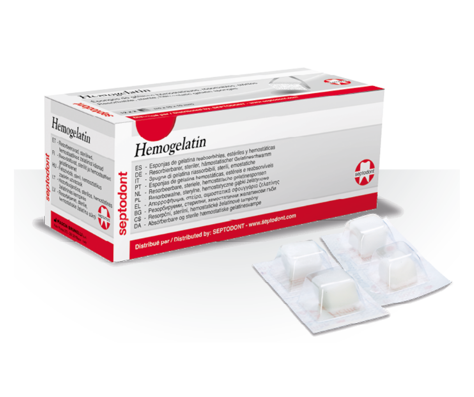 HEMOGELATIN ESPONJA HEMOSTATICA 24U - SEPTODONT