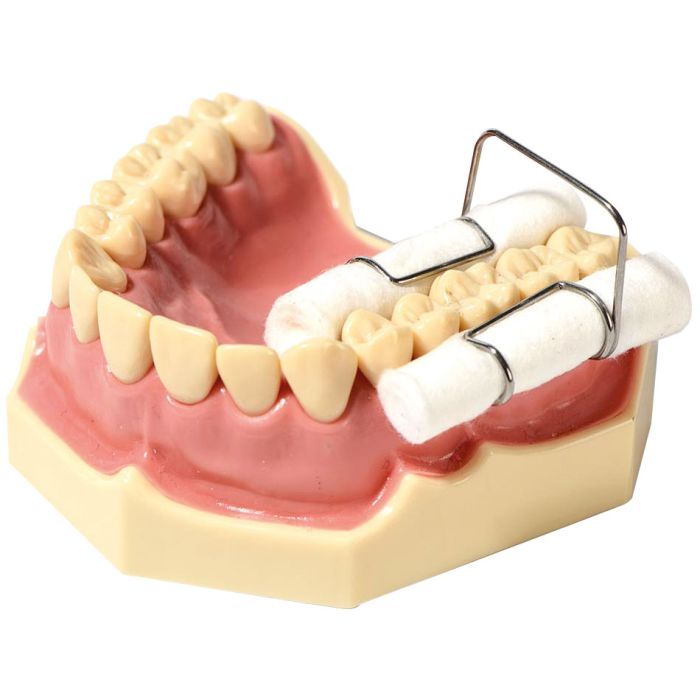 SOPORTE DE ROLLOS DE ALGODON 4U POLYDENTIA