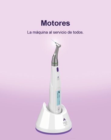 Motores